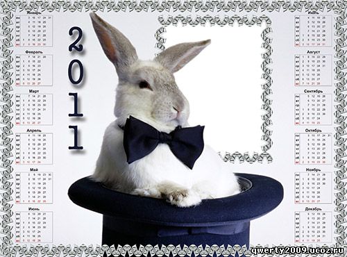 календарь, The calendar, 2011, рамка, фотошоп, кролик